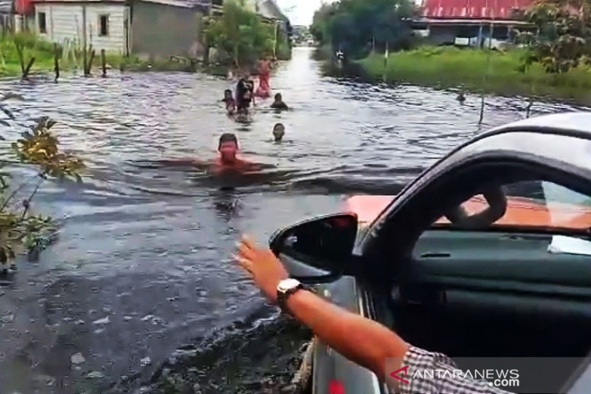 90 hektare lahan produktif di Palangka Raya terdampak banjir