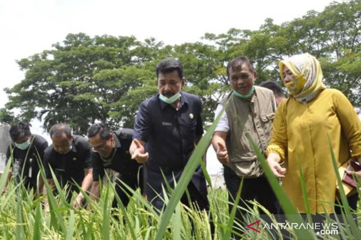 Dinsos Sumsel jamin korban bencana alam dapat bantuan