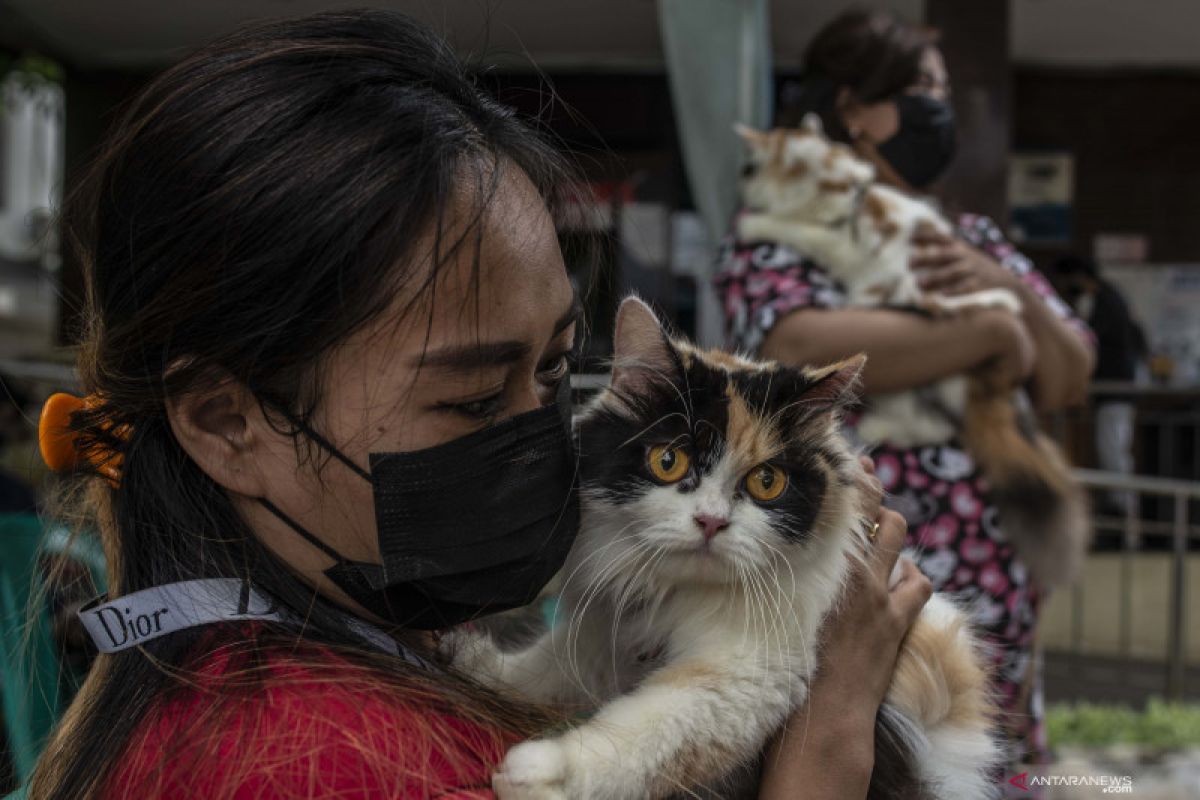 Sudin KPKP kembali gelar vaksinasi rabies gratis tahun 2022