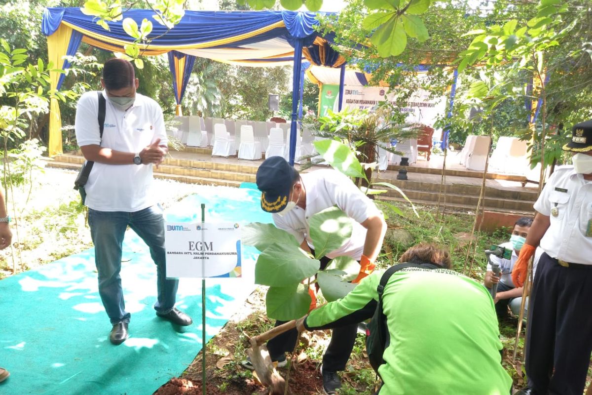 Jakarta Timur tanam 1.500 pohon di Cipayung