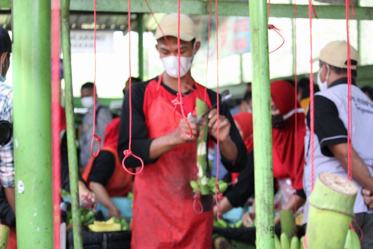 Lampung dorong komoditas hortikultura masuk pasar ekspor