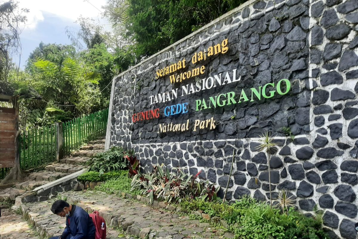Jalur pendakian Gunung Gede-Pangrango Cianjur dibuka kembali