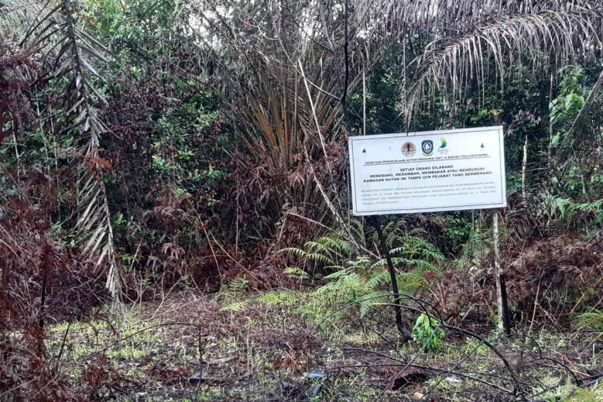 Polhut Kepri selidiki kerusakan hutan Gunung Lengkuas Bintan