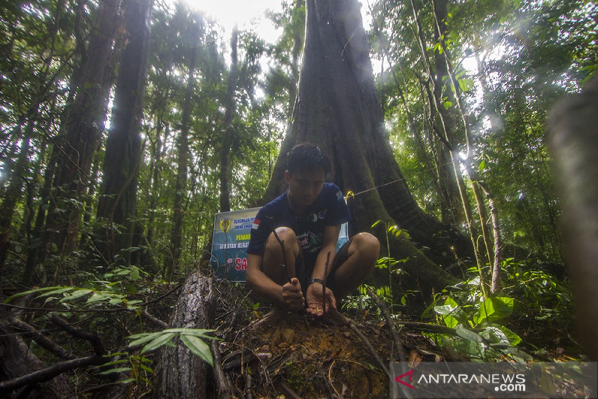 Uji Coba Penanaman Kopi Jenis Arabika di 1000 MDPL