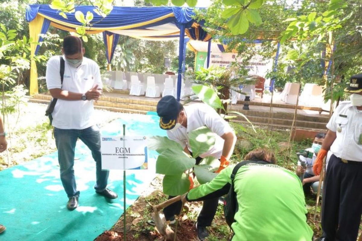 Jakarta Timur tanam 1.500 pohon pelindung di Cipayung