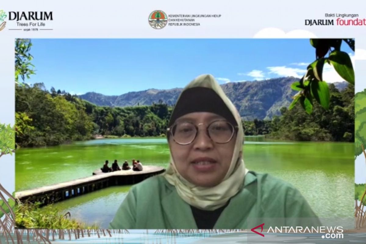 Rehabilitation required for 701,000-ha mangrove areas in Indonesia