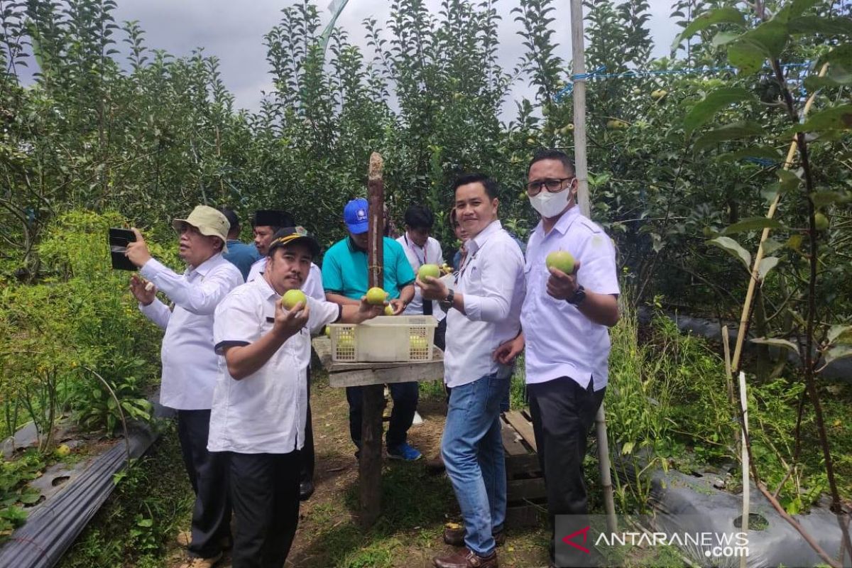 Dinas pertanian sebut budidaya apel menjanjikan di Rejang Lebong