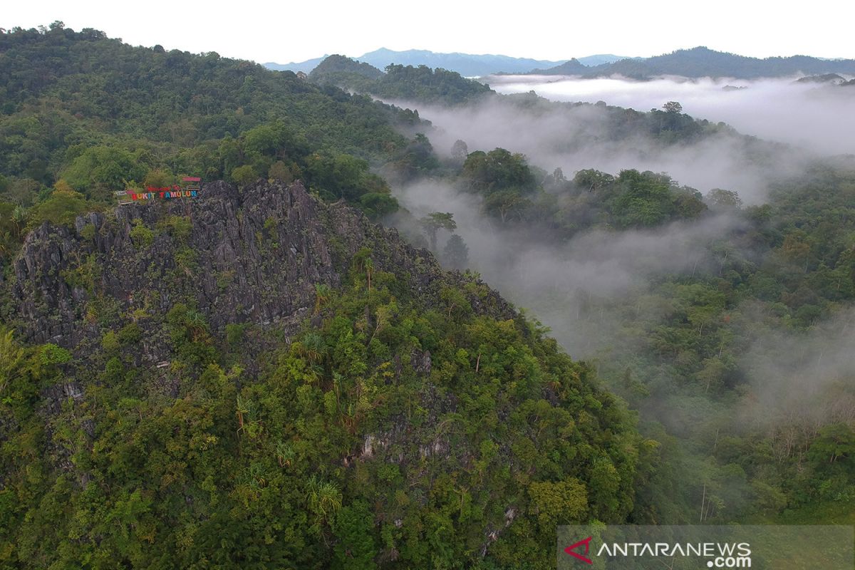 Menteri Bahlil cabut 15 izin konsesi kawasan hutan