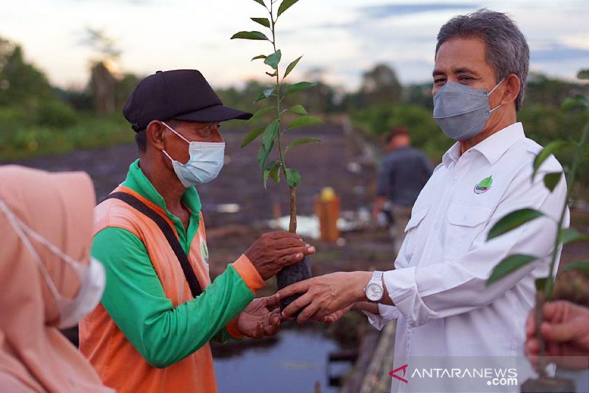 BRGM dorong petani lahan gambut kembangkan komoditas jeruk