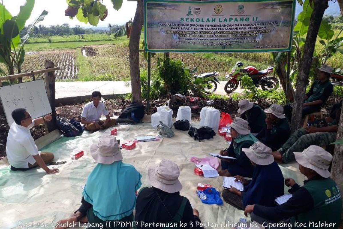 Petani Kuningan senang, produktivitas panen meningkat signifikan