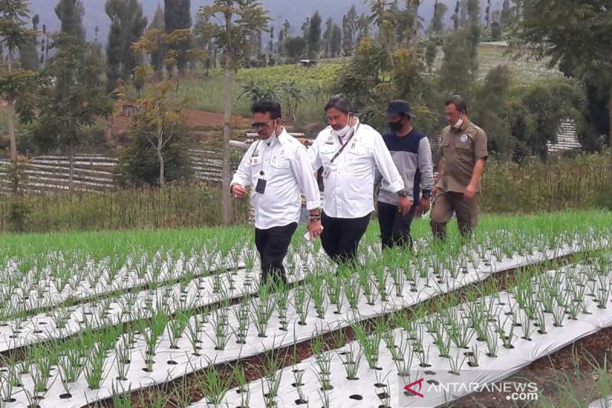 Temanggung, Wonosobo models for horticultural food estates: minister