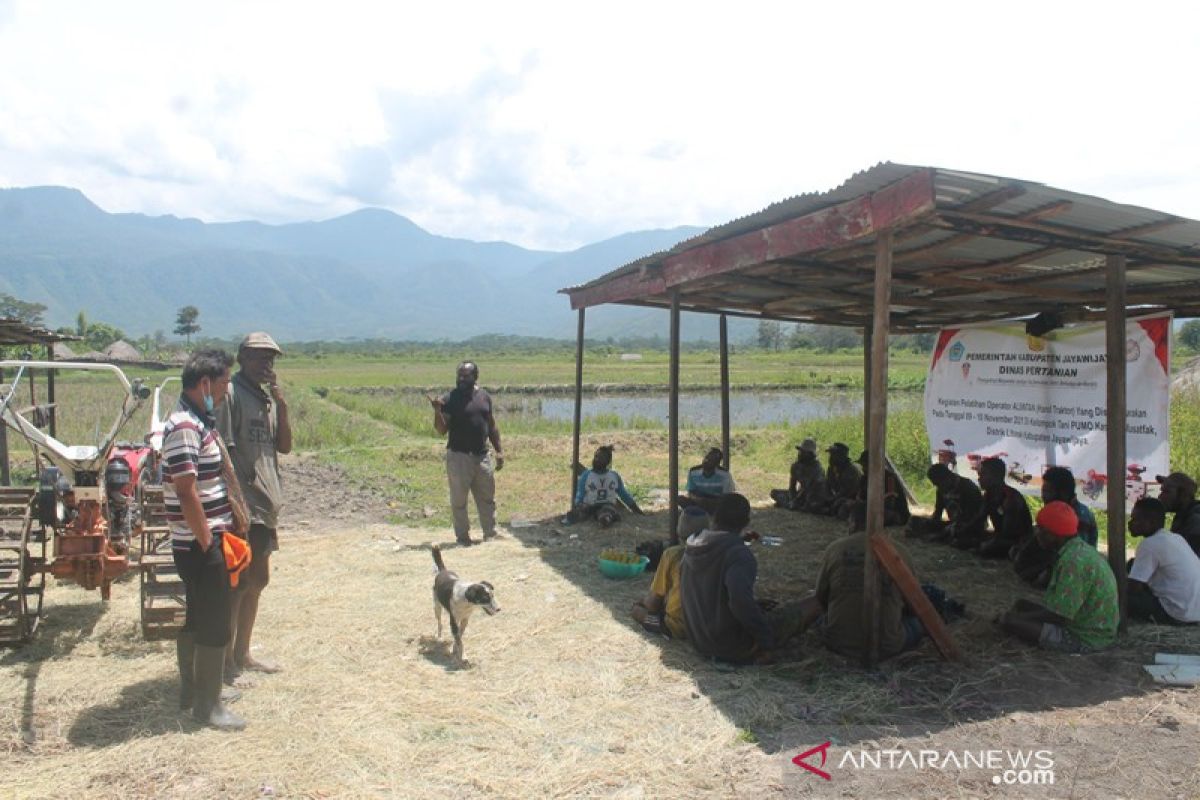 Dinas Pertanian Jayawijaya latih petani Papua siapkan pembenihan padi