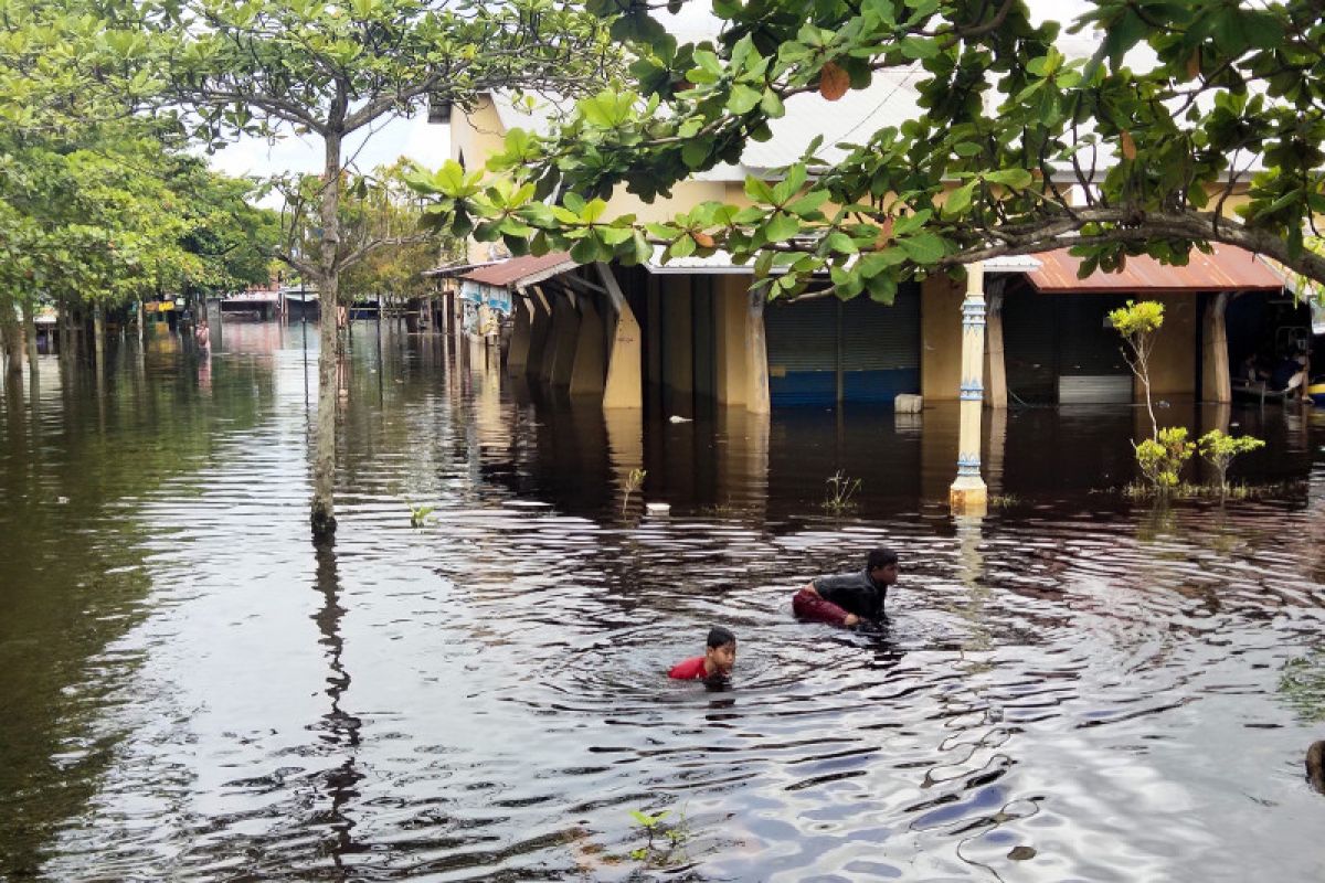 31.013 warga Palangka Raya terdampak banjir