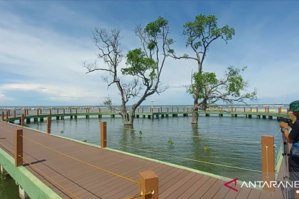 Kepulauan Seribu district to transplant coral reef under PEN program