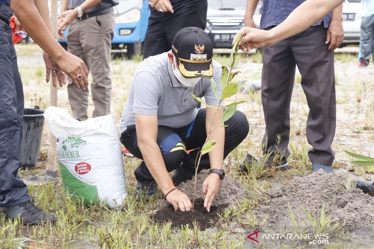 Bupati Bangka bersama tenaga pendidik tanam ratusan bibit pohon