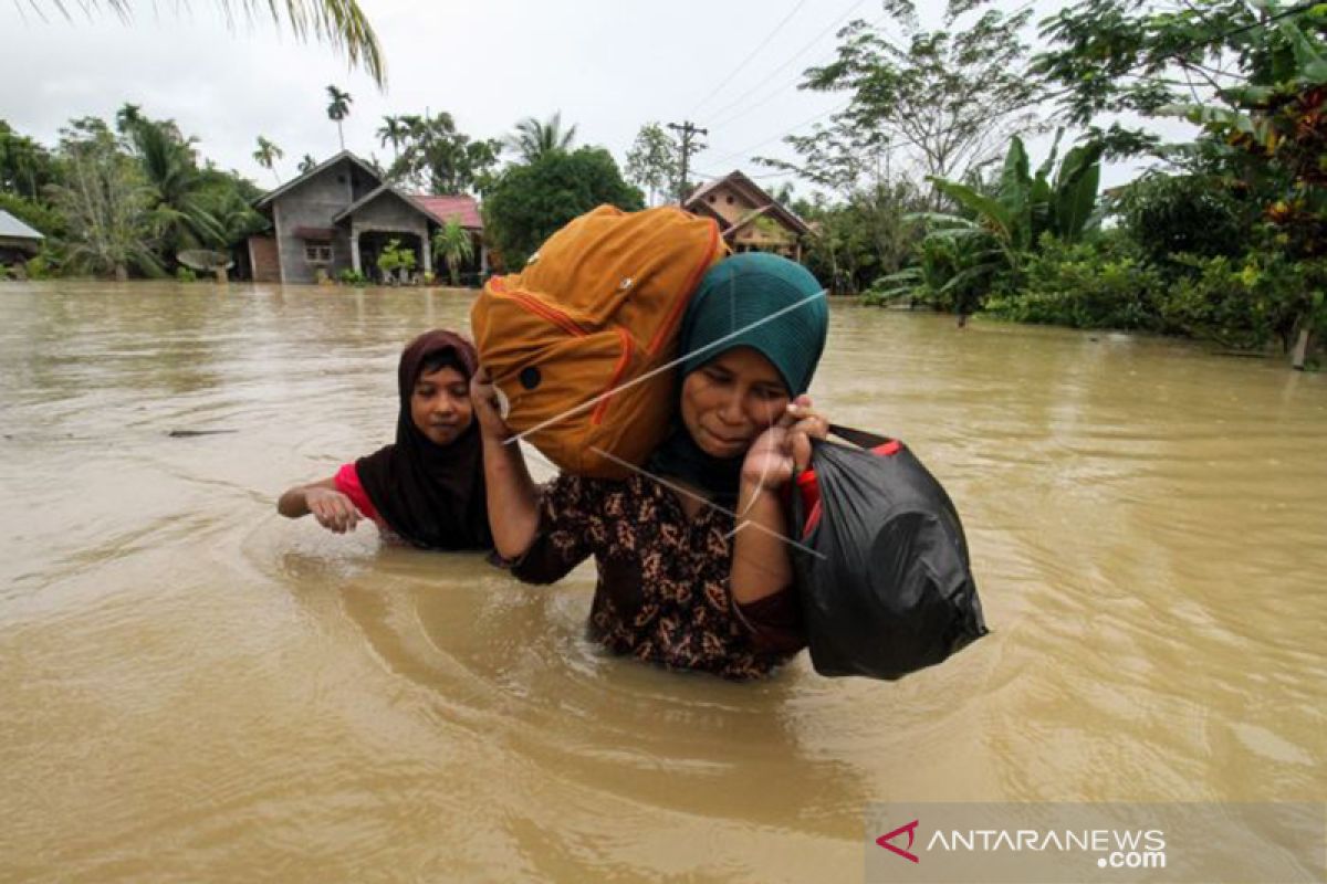 Aceh stok 475 ton beras antisipasi krisis pangan akibat bencana