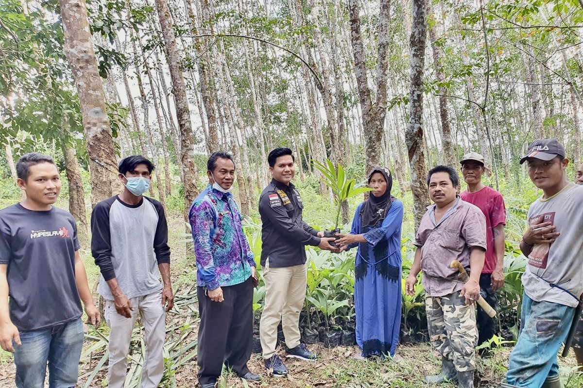 Areca nut expected to boost Balangan's economy