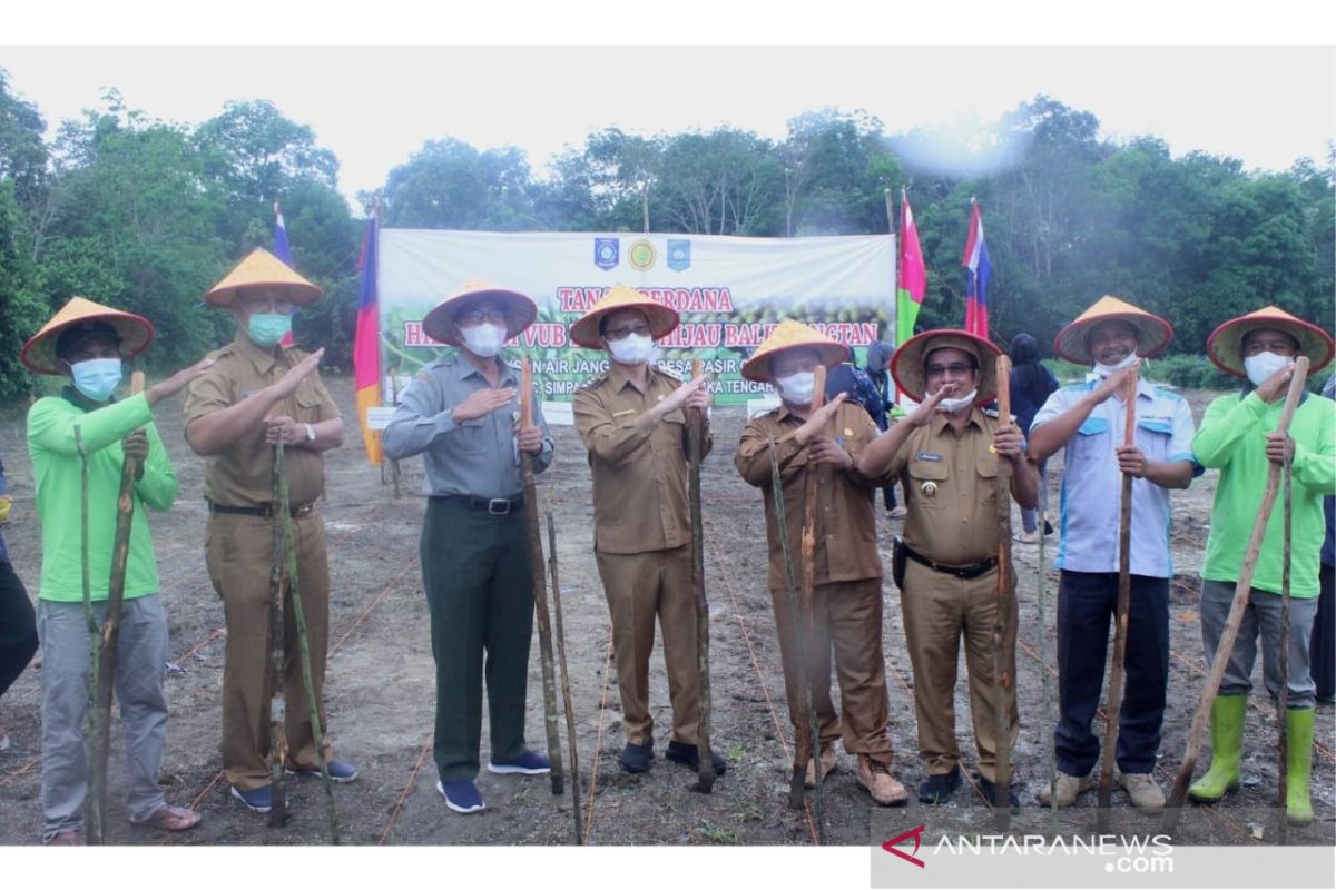 Pemkab Bangka Tengah bangun kebun percontohan kacang hijau