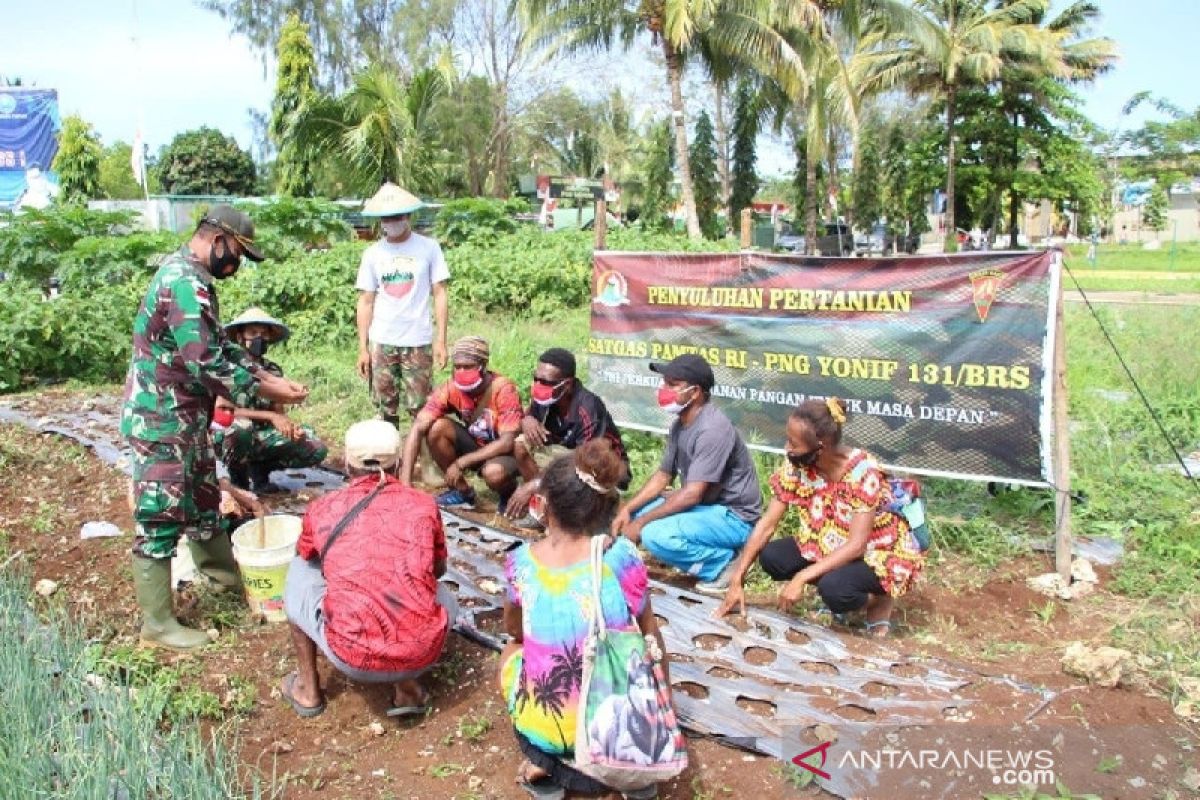 Satgas TNI Yonif 131 ajarkan menanam bawang warga di perbatasan RI-PNG