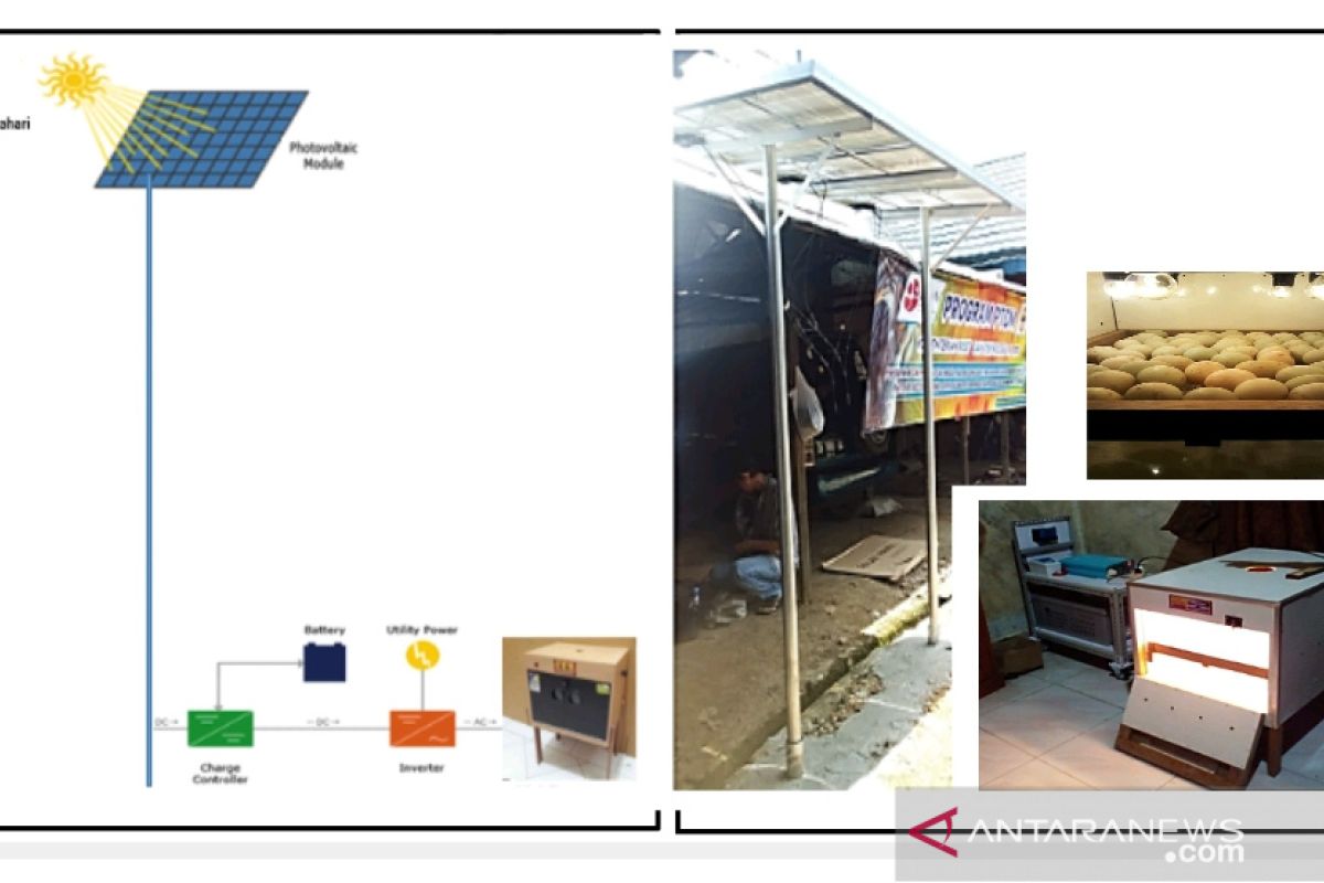Mesin tetas panel surya untuk tingkatkan produktivitas itik alabio