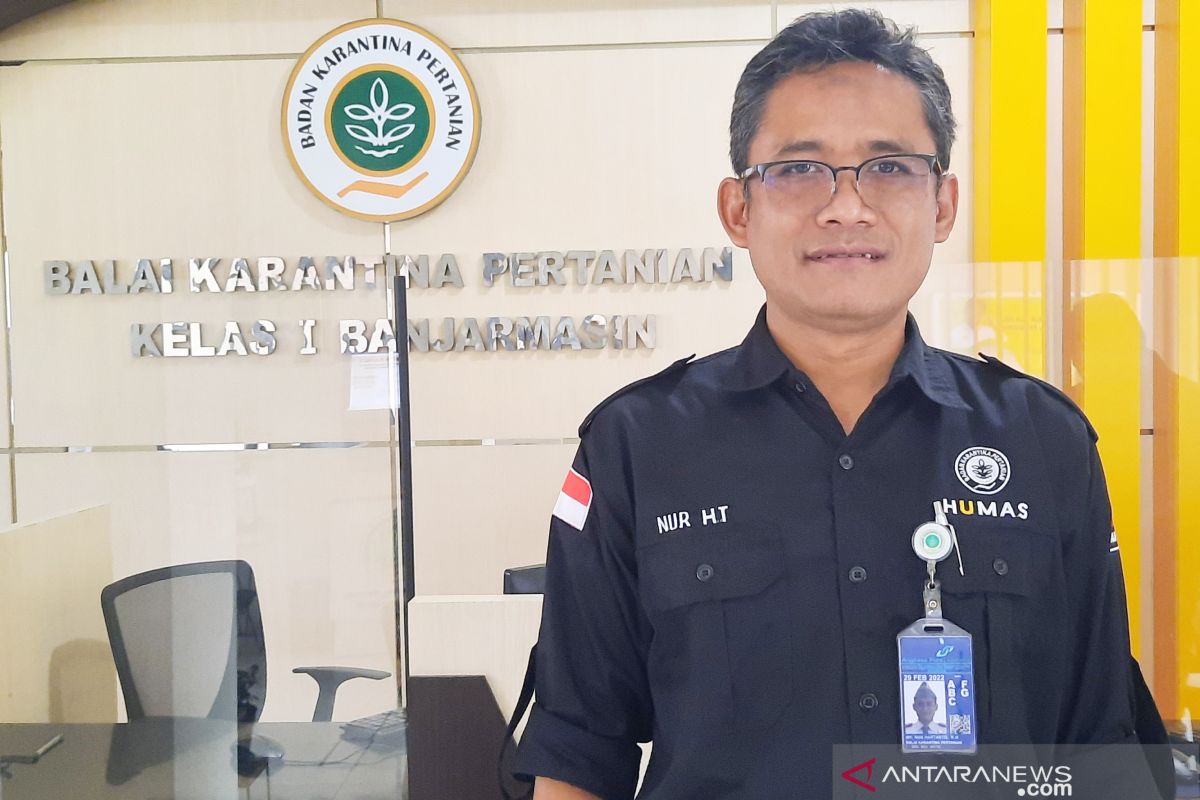 Ministry encourages South Kalimantan porang to fulfill export