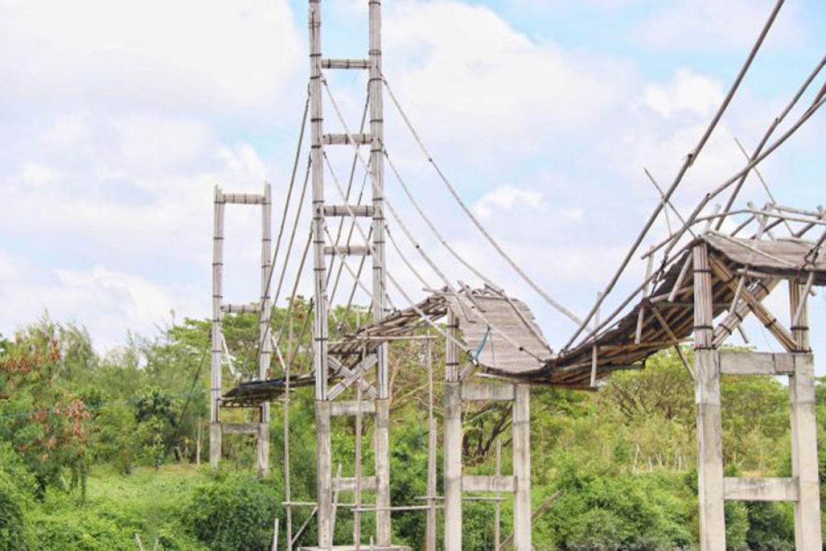 DPRD Surabaya minta jembatan bambu di Wisata Mangrove Wonorejo direvitalisasi