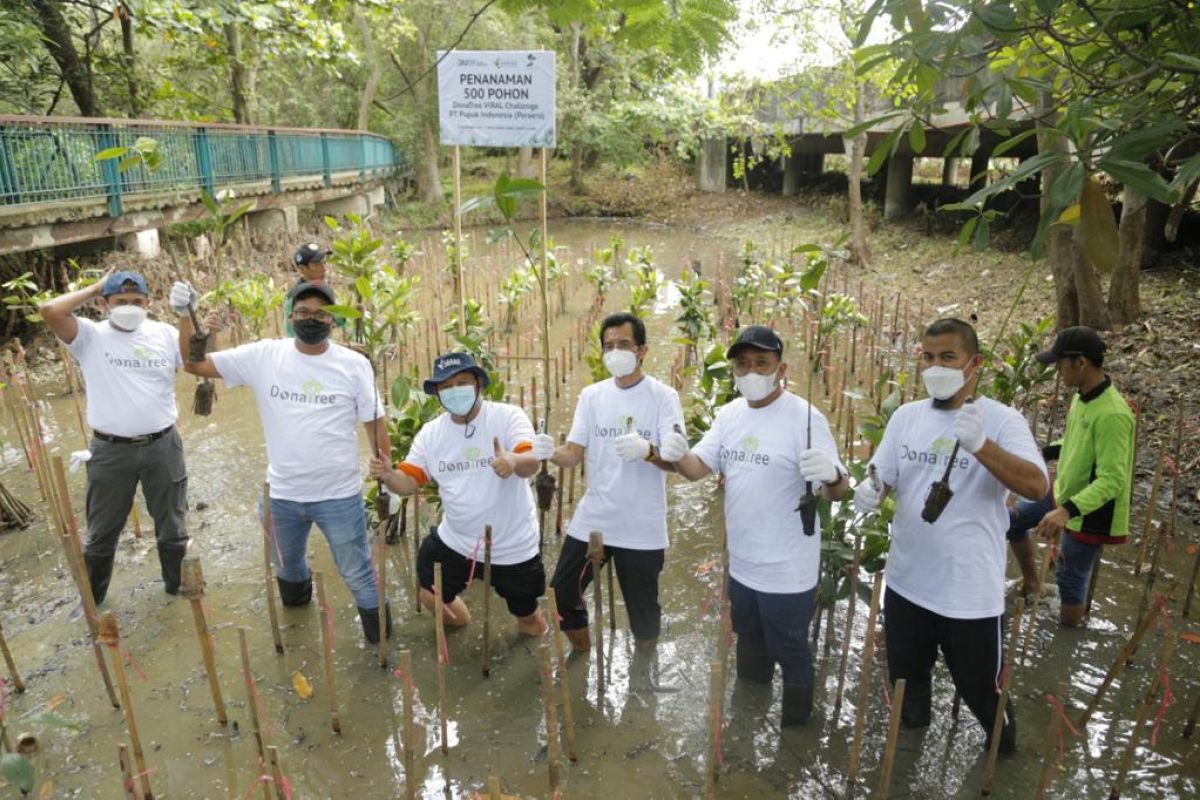 Pupuk Indonesia tanam 5.500 mangrove peringati Hari Pohon