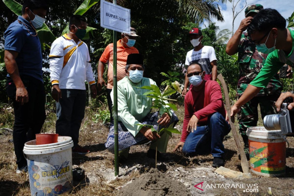 Peringati hari pohon sedunia, Pemkab Siak kerjasama dengan LSM