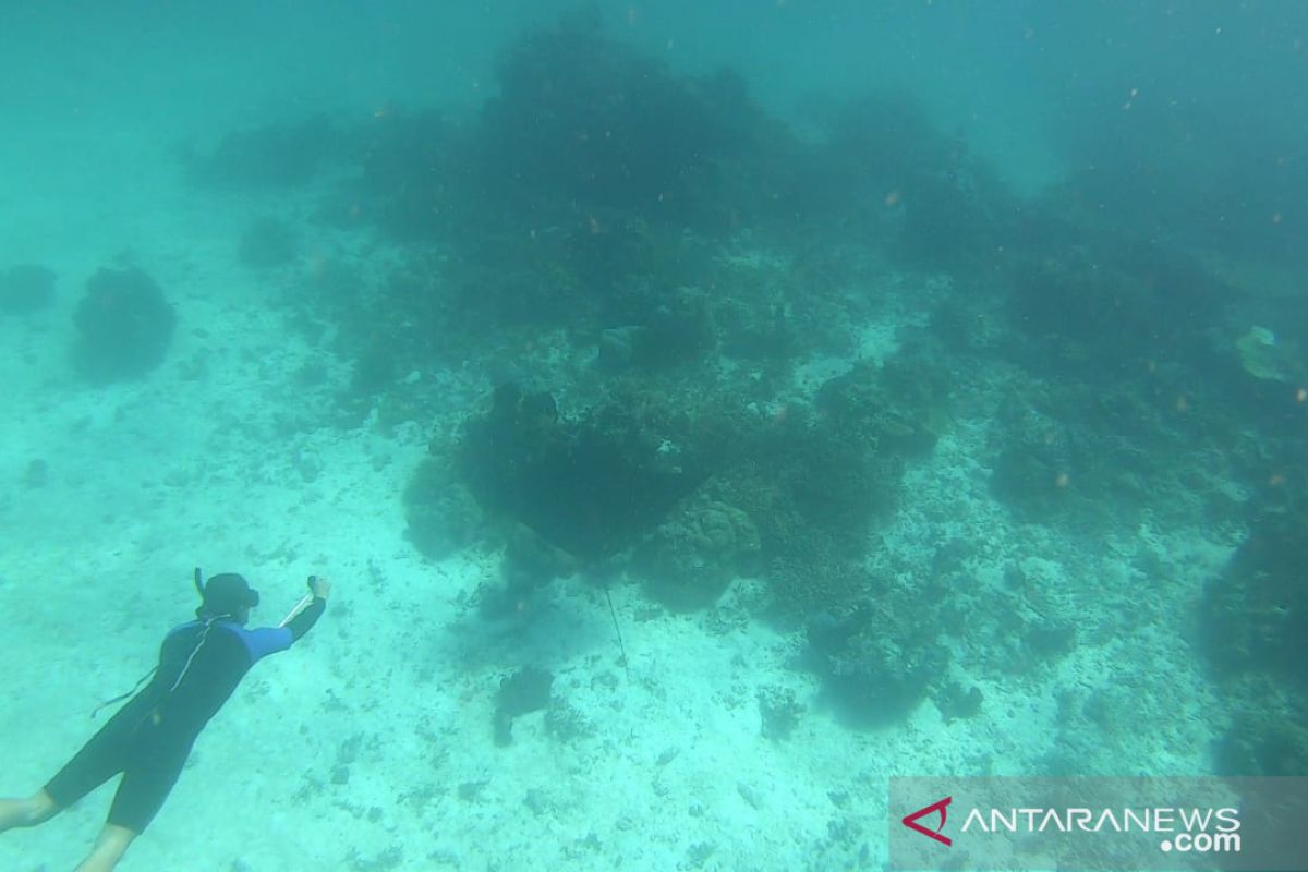 Kampung Meosmanggara Raja Ampat kembangkan wisata spesies