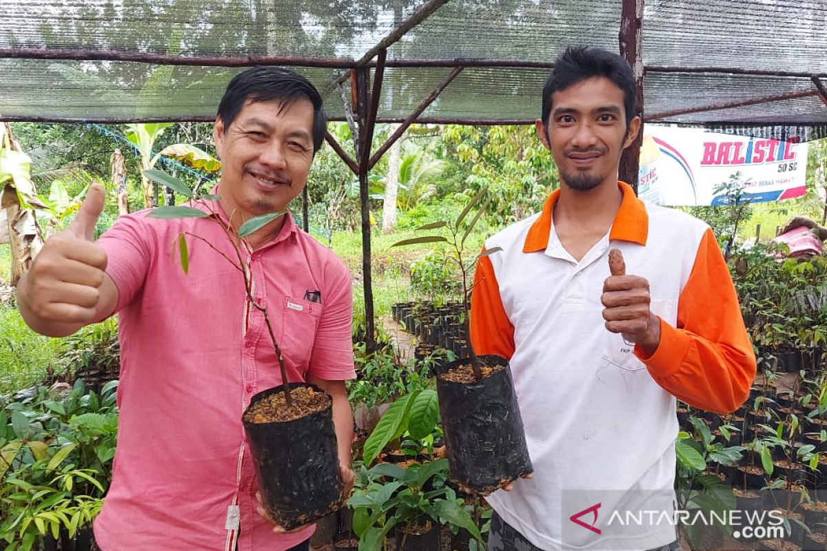 Apindo Kalbar bantu petani kembangkan durian jarum mas Kubu Raya