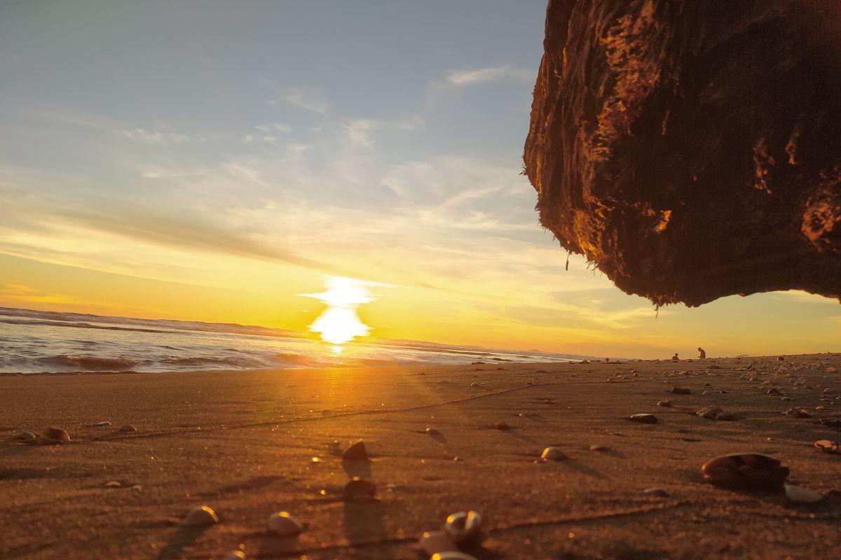 Masyarakat Bengkulu diimbau tidak mandi di pantai