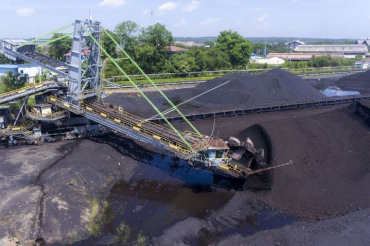 Bukit Asam laba bersih Rp1,2 triliun pada triwulan I