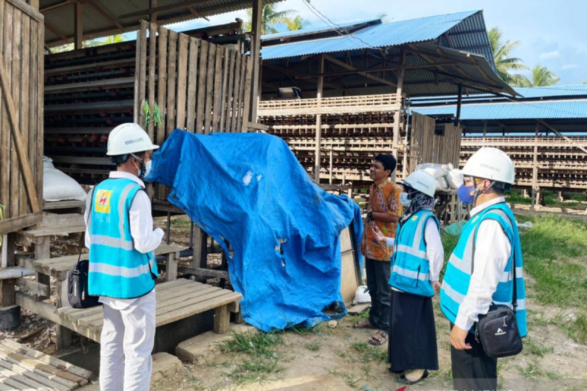 Pengusaha ternak ayam Jon Eddi puji layanan cepat PLN