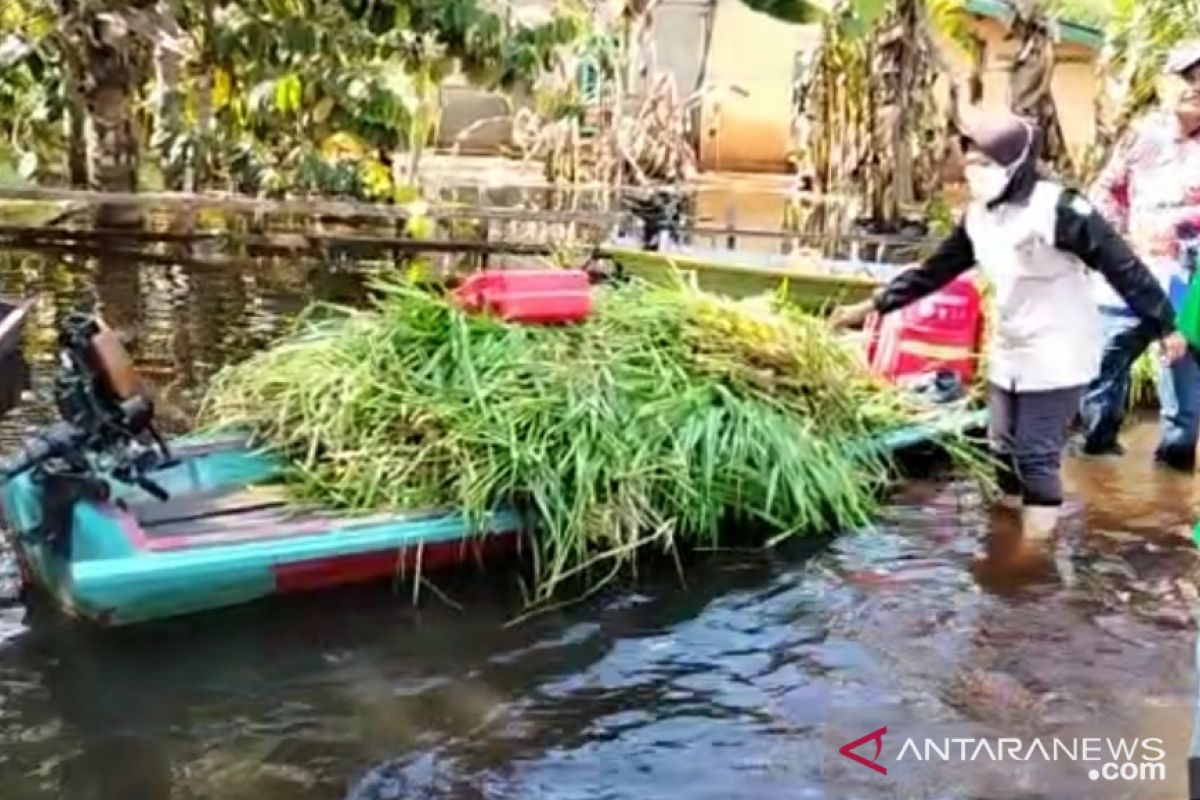 Disbunnak turunkan Tim Keswan ke lokasi banjir di Sintang dan Sekadau