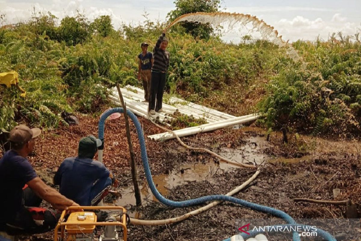 BRGM tegaskan Indonesia perkuat komitmen dalam merestorasi gambut