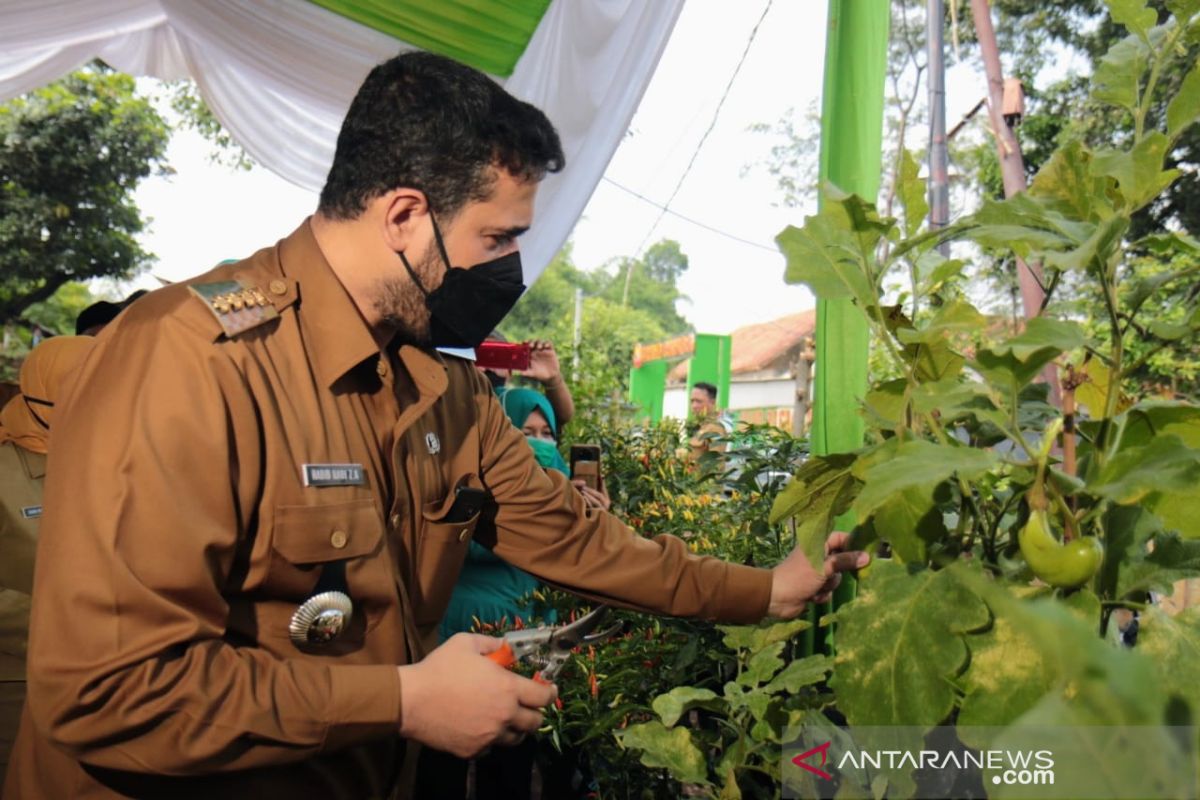 Wali Kota Probolinggo dorong inovasi produk olahan hasil panen KRPL