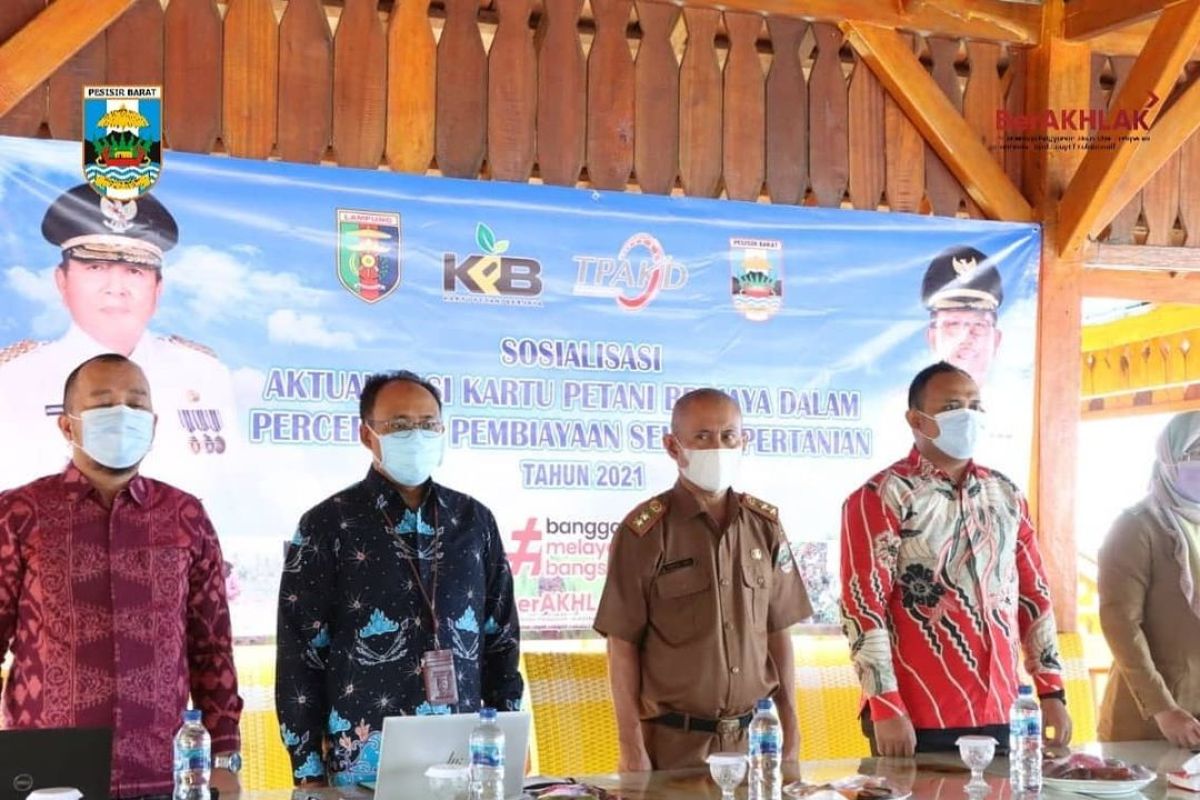 Pemkab Pesisir Barat lakukan sosialisasi aktualisasi Kartu Petani Berjaya