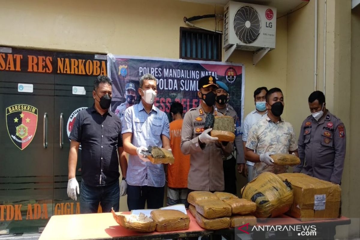 Di Madina, Polisi gagalkan pengiriman ganja lewat ekspedisi