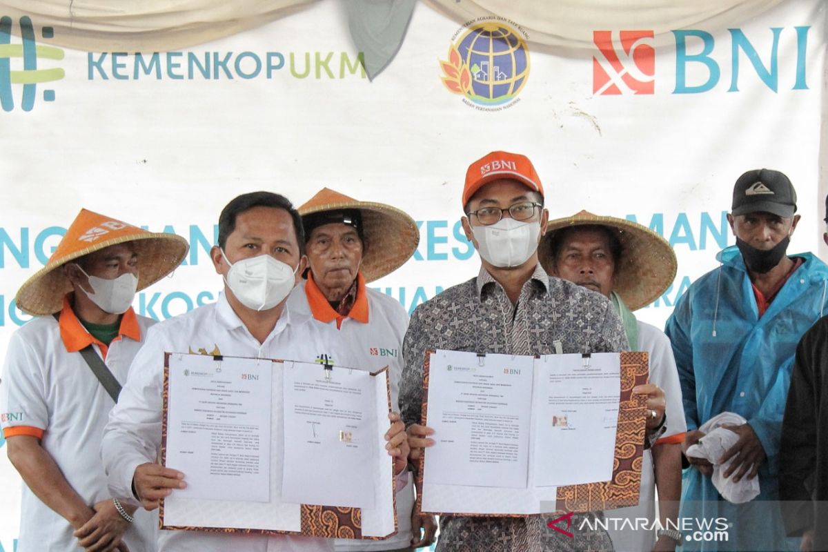 BNI mendukung digitalisasi UMKM dan koperasi lewat jaringan agen