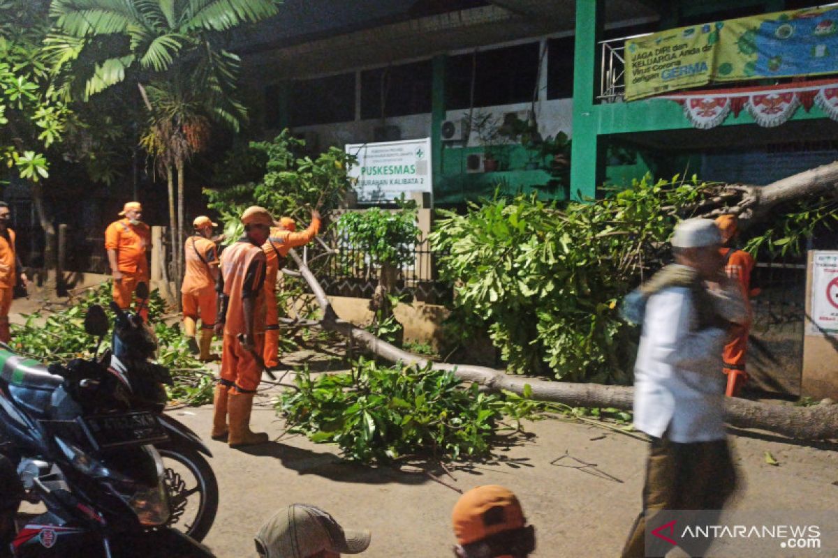 DKI kemarin, pohon tumbang hingga antisipasi gelombang ketiga COVID-19