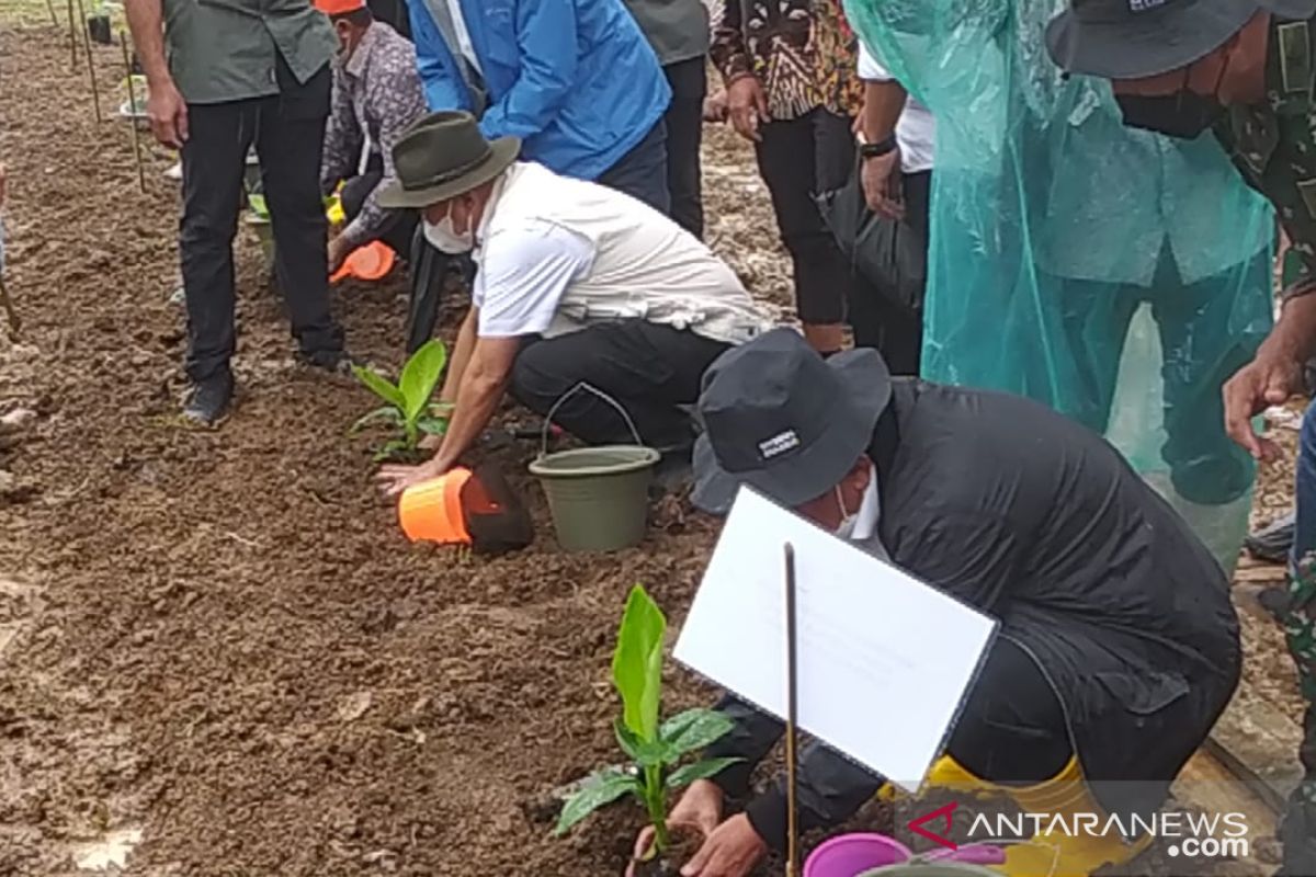 Dua menteri kembangkan tanaman unggulan berkualitas ekspor di Sukabumi