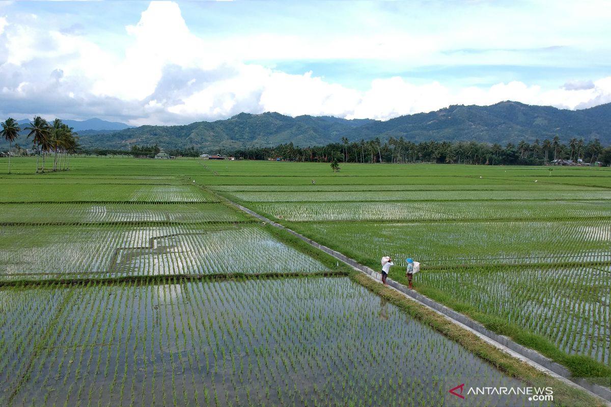 BPS: NTP Gorontalo turun 1,21 persen pada bulan Oktober