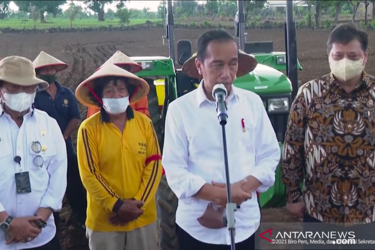 Presiden Jokowi bersama Menko Ekonomi dan Mentan tanam jagung di Janeponto