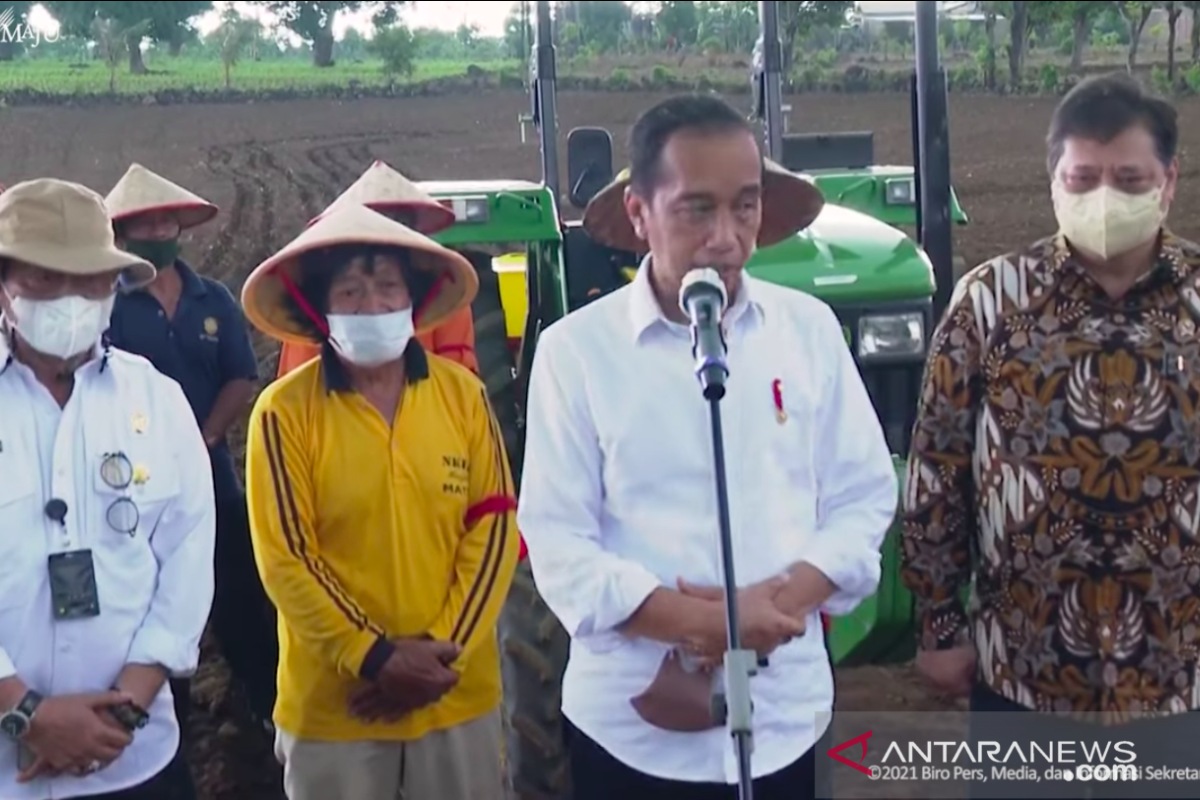 Presiden bersama Menko Ekonomi dan Mentan  tanam jagung di Janeponto