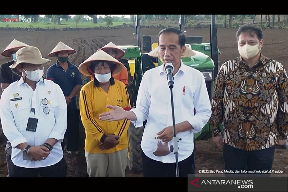 Presiden bersama Menko Ekonomi dan Mentan tanam jagung di Janeponto