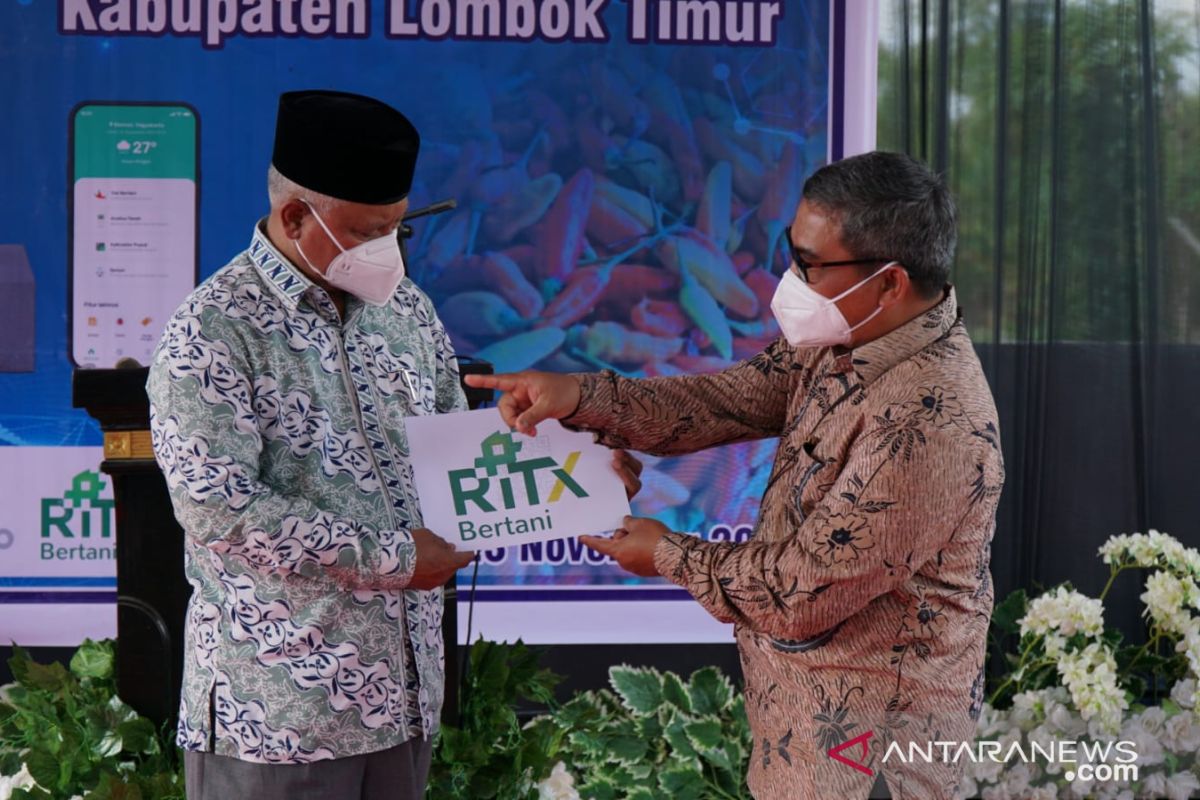 Bank Indonesia mendidik petani cabai di Lombok terapkan pertanian digital