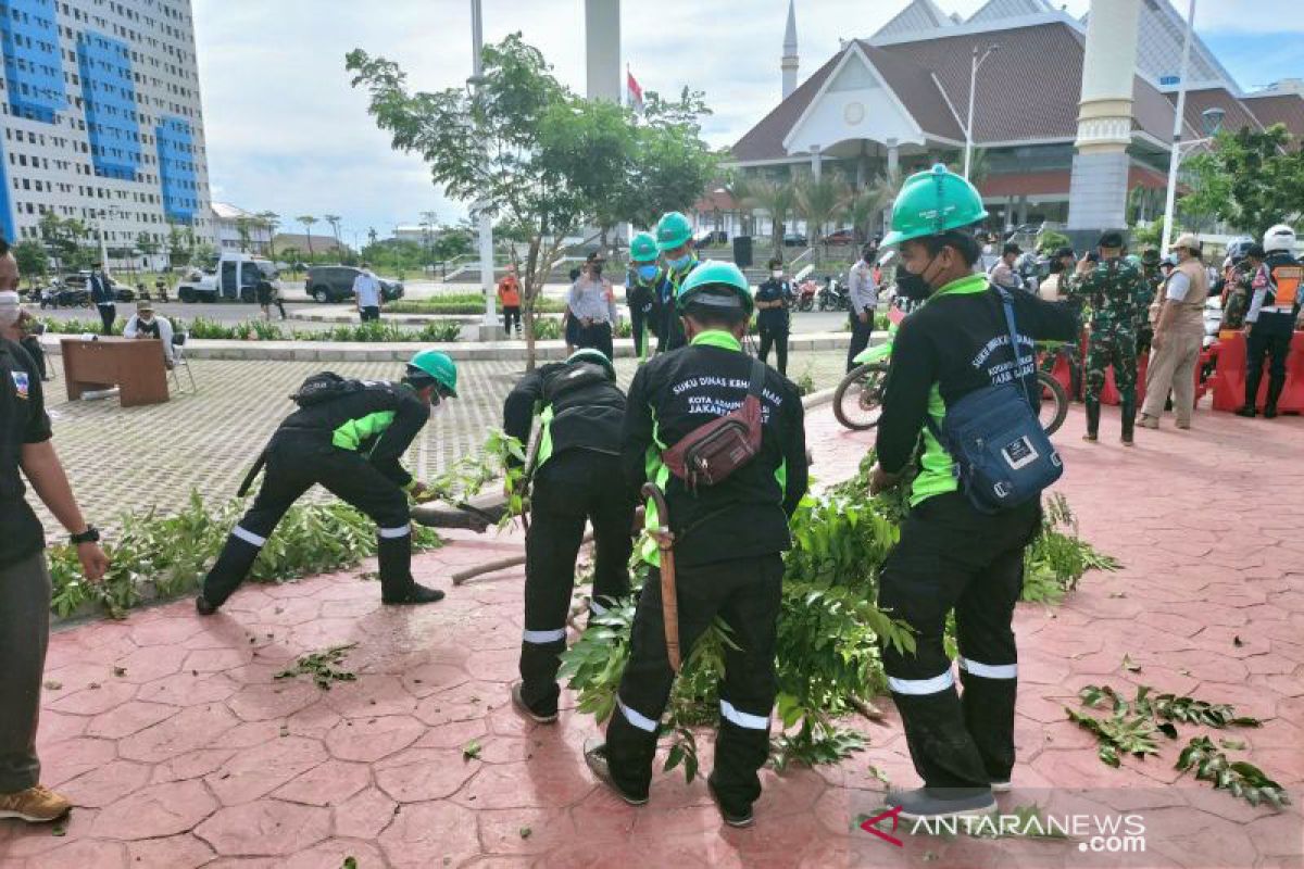 Di Jakarta Barat, 304 pohon sempal dan tumbang sepanjang 2021