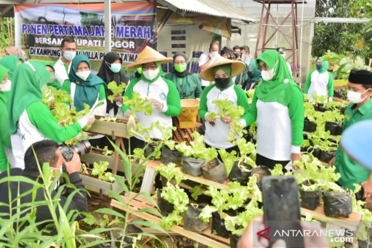 Bupati Bogor Ade Yasin resmikan Kampung Herbal di Gunungputri