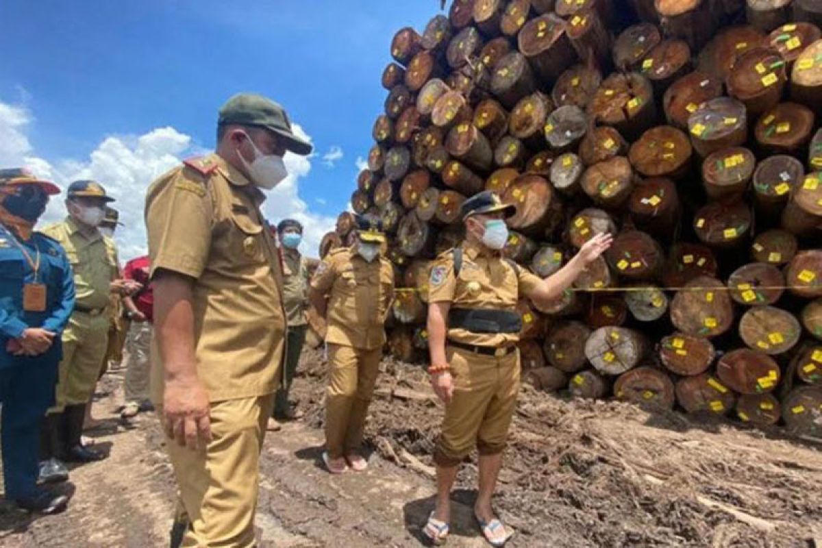 Kalteng denda PT HPL Rp6 milar lebih terkait temuan kayu log