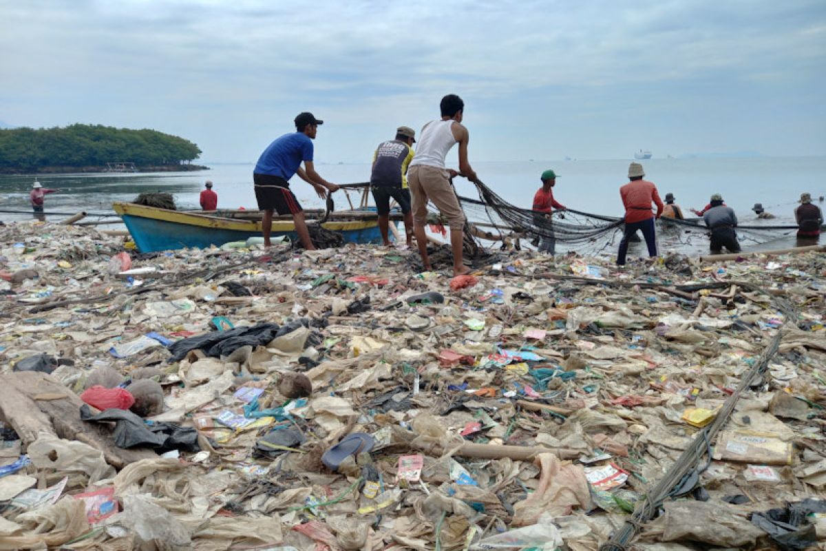 Ikan jenis hiu tutul seberat 2 ton masuk ke jaring nelayan payang di perairan sukaraja